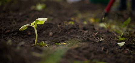 HOW OUR INSTALLATION REPAIRS & MAINTENANCE FRAMEWORK SUPPORTED ST LEGER HOMES’ VISION FOR THE LOCAL ENVIRONMENT